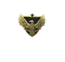 CS2 кейс «Пины»